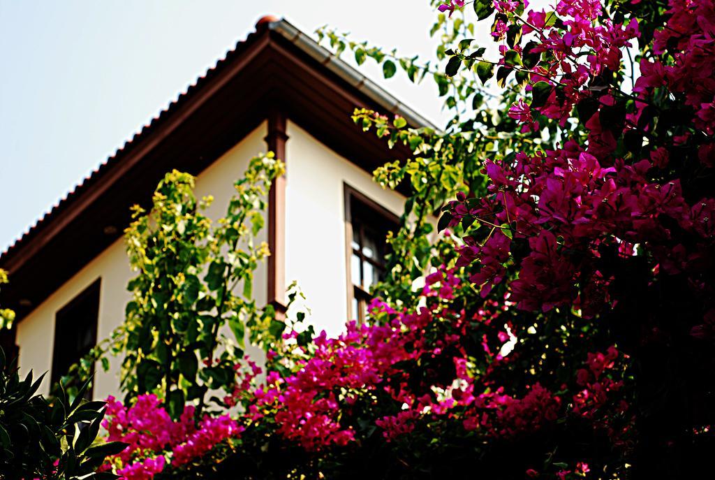 Deja Vu Hotel Antalya Exteriör bild
