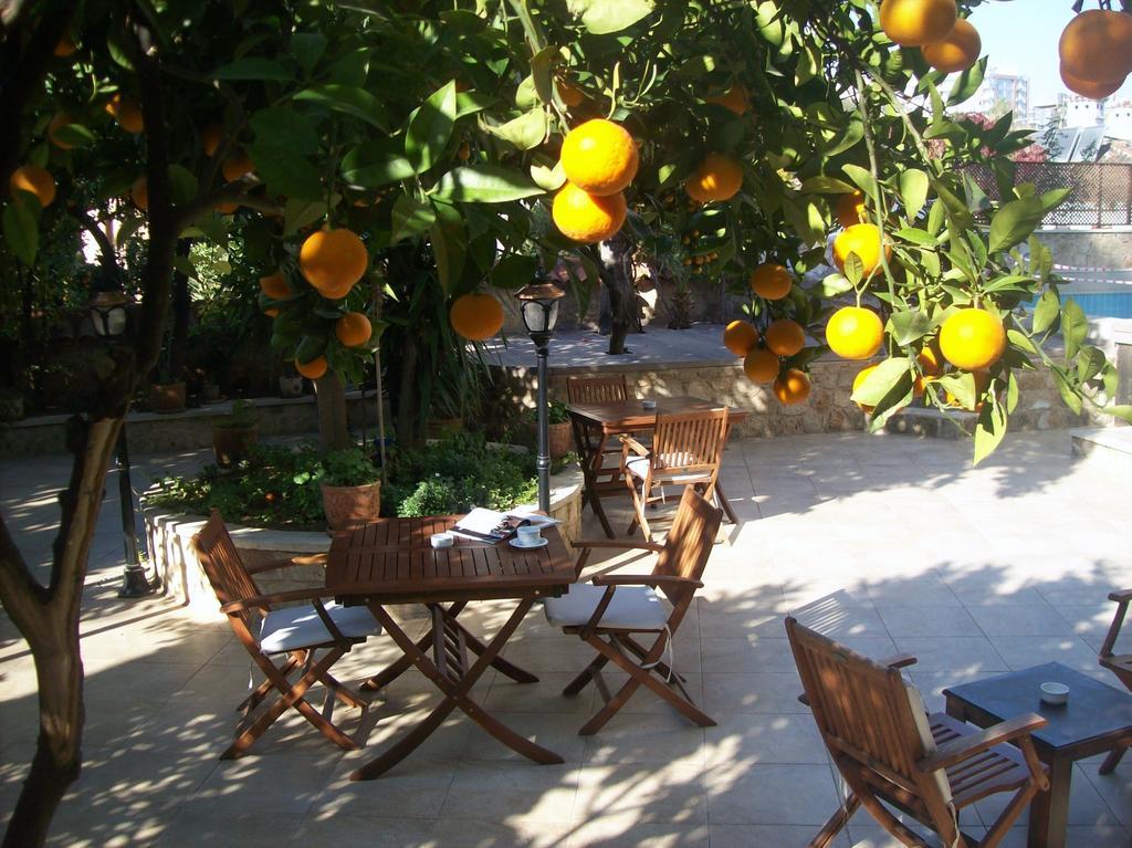 Deja Vu Hotel Antalya Exteriör bild